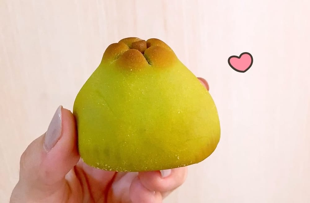 [新北] 中秋月餅｜蘆洲在地老字號「龍鳳堂餅舖」慶祝美好時光的最佳禮盒