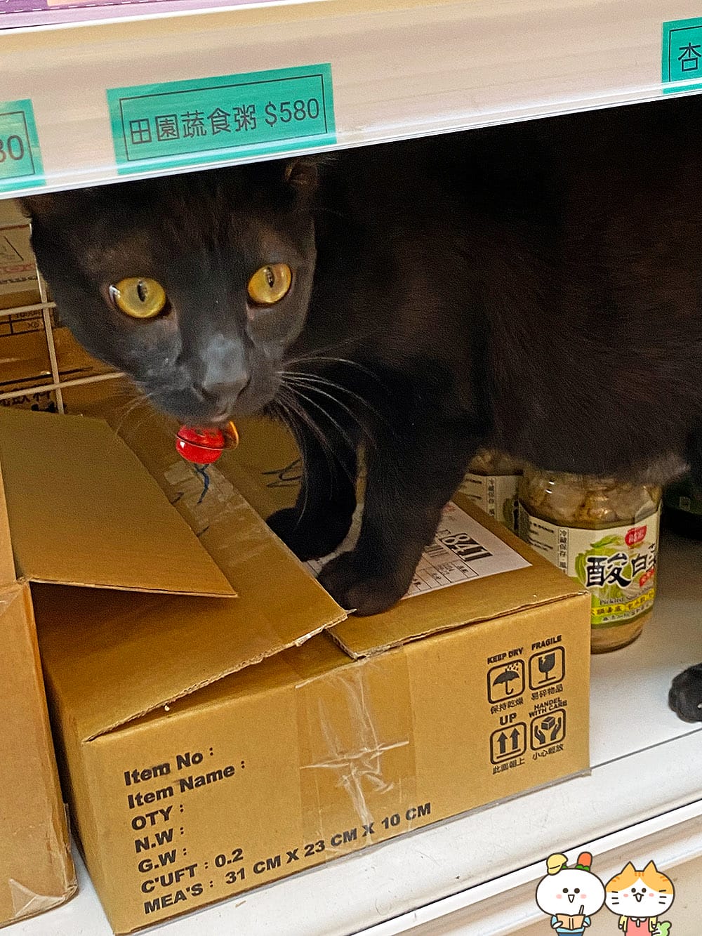 [台北] 蔬食8便利超商｜素食超市、素食小夜市的完美結合｜捷運昆陽站 (門市歇業