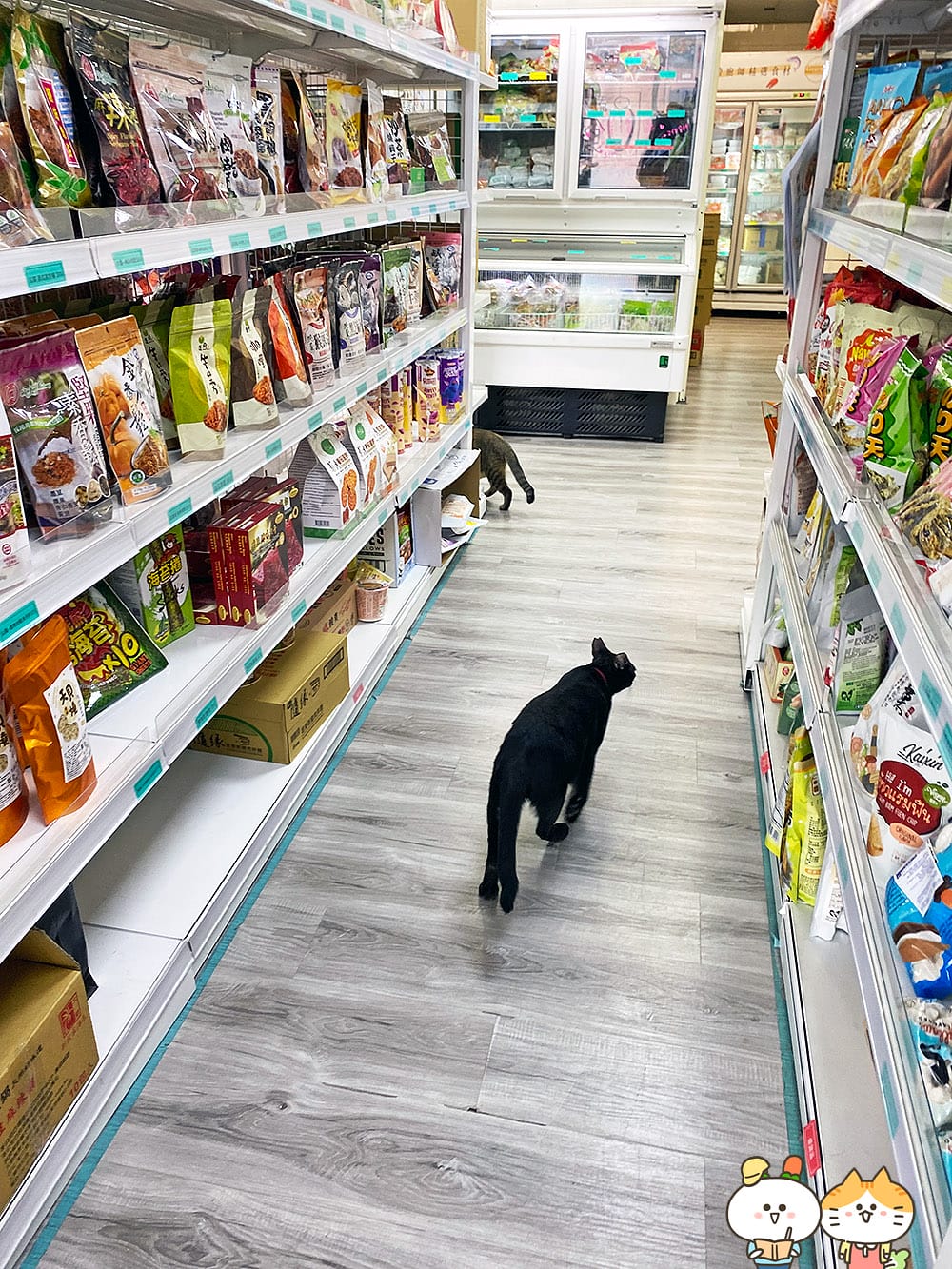 [台北] 蔬食8便利超商｜素食超市、素食小夜市的完美結合｜捷運昆陽站 (門市歇業