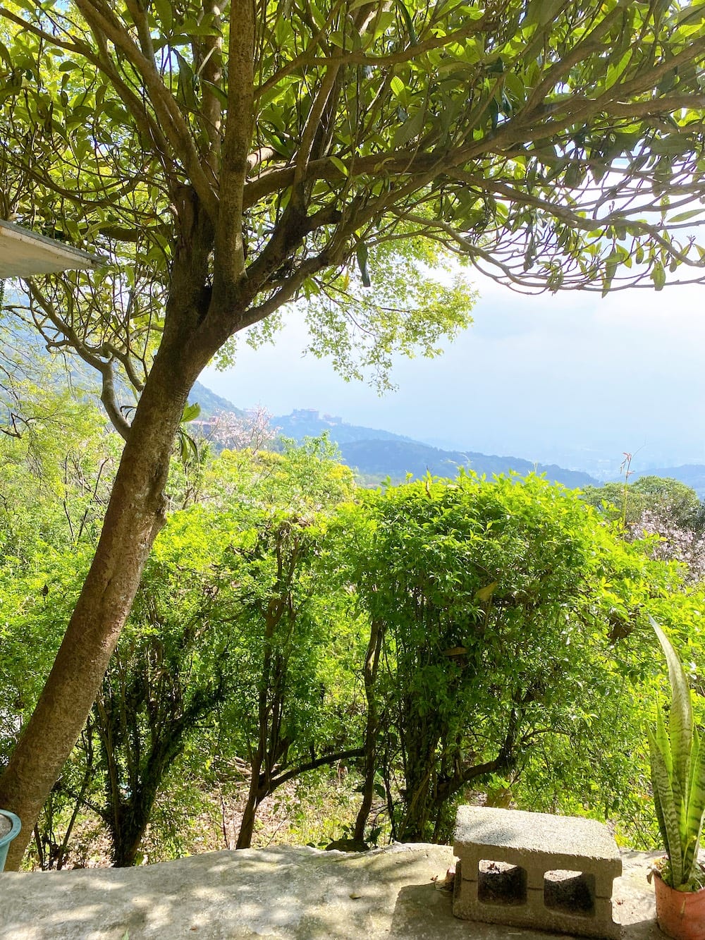 [台北] 說走就走！陽明山「天氣好的話」咖啡店｜大屯瀑布，一點點的暈車
