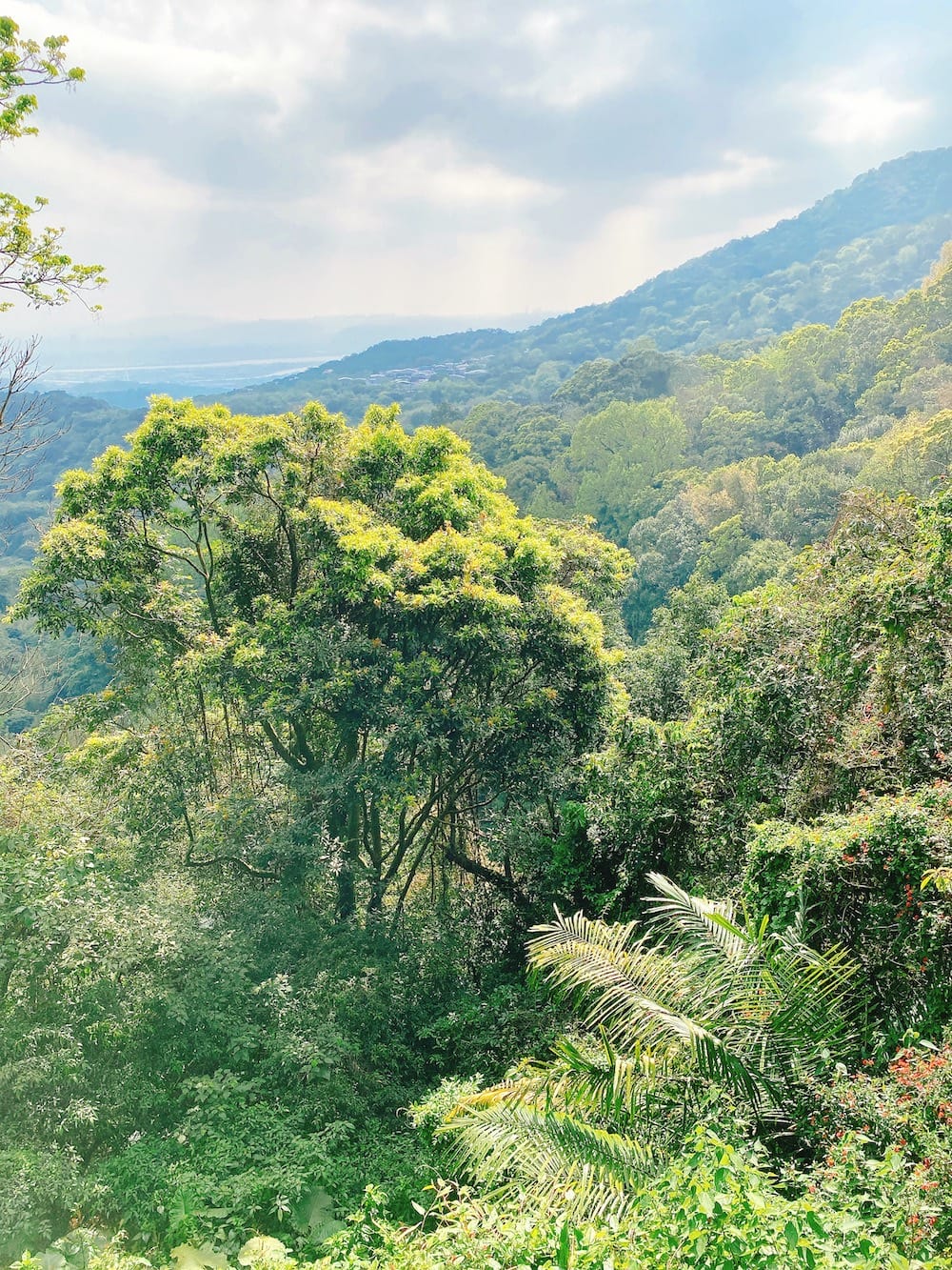 [台北] 說走就走！陽明山「天氣好的話」咖啡店｜大屯瀑布，一點點的暈車