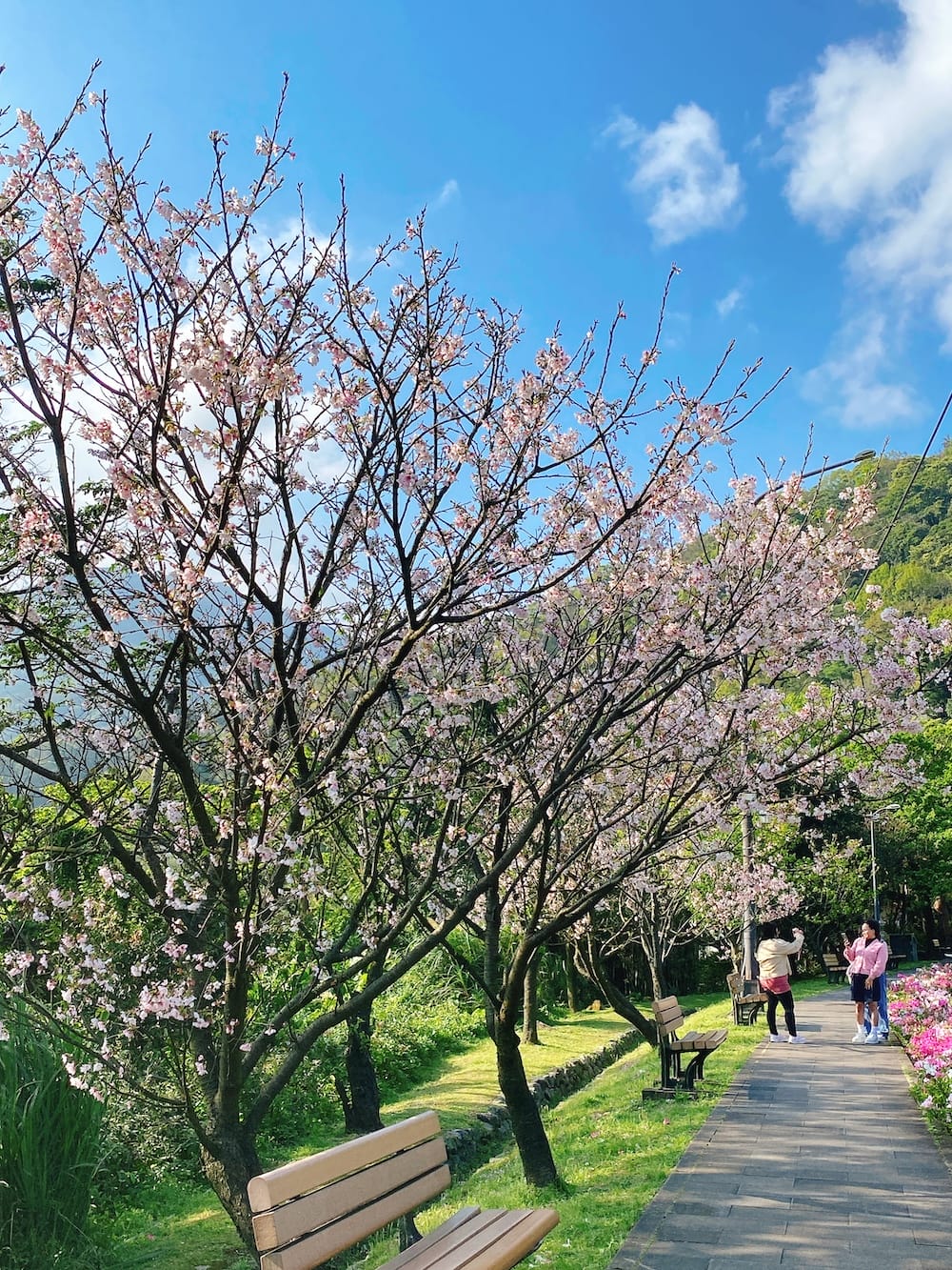 [台北] 說走就走！陽明山「天氣好的話」咖啡店｜大屯瀑布，一點點的暈車