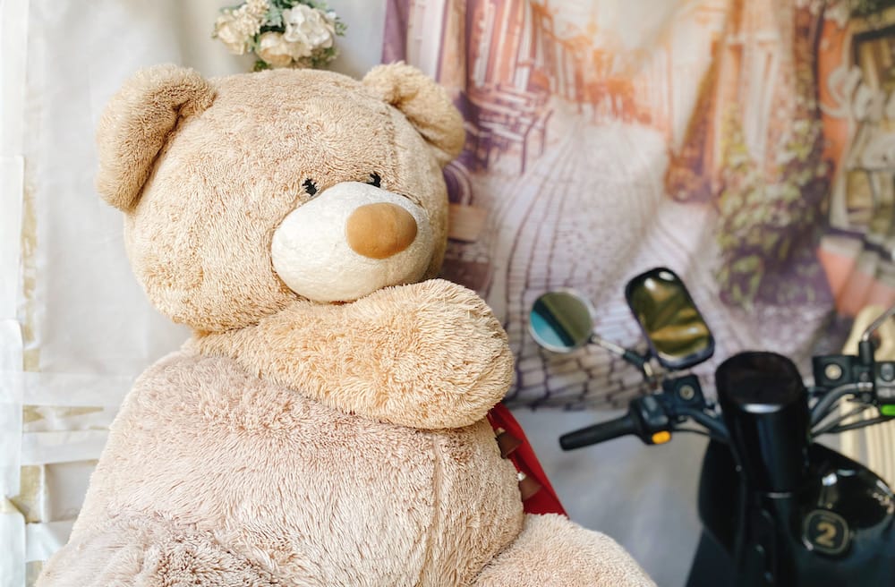 [新北] 綠元素蔬食早午餐｜素神戶牛排鐵板麵，吃飽逛鶯歌老街，星巴克特色門市