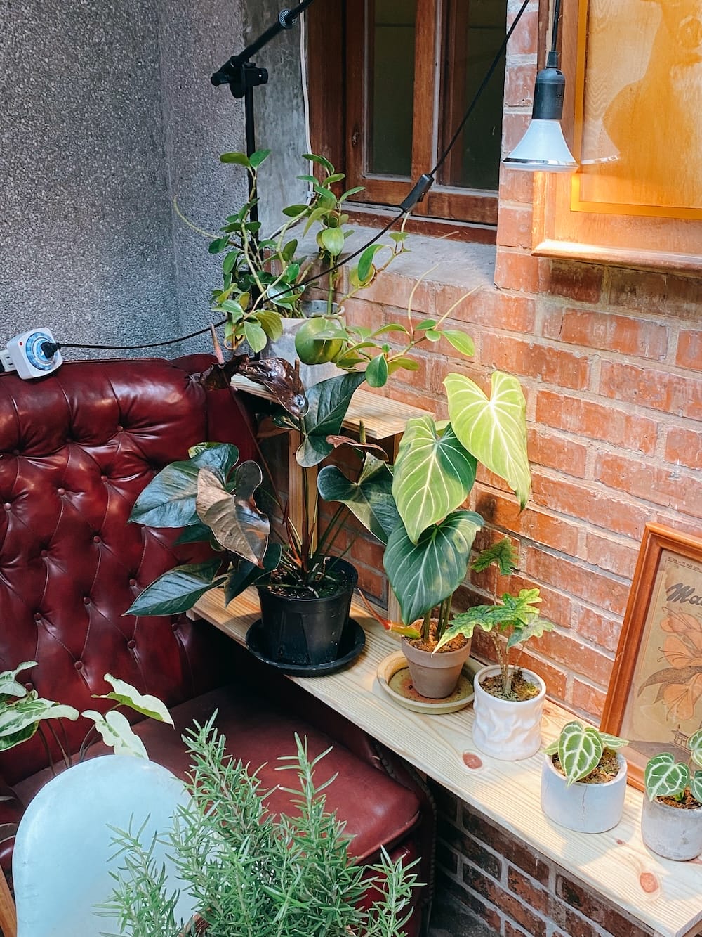 [台北] 雨天的大稻埕，在 Modern Mode 獨享一段復古的閱讀時光