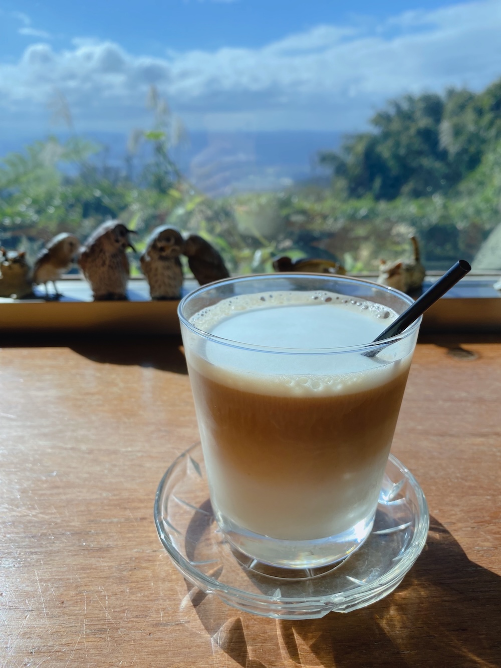 [台北] 竹子湖秘境咖啡廳｜山上聊 Whisper Hill Café｜靠窗座位的山景時光