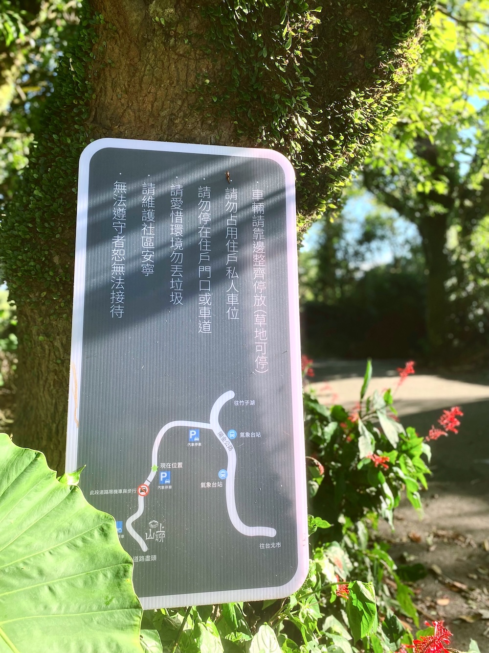 [台北] 竹子湖秘境咖啡廳｜山上聊 Whisper Hill Café｜靠窗座位的山景時光